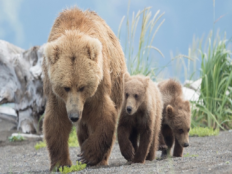 厦门174试管找谁（血压多少才能试管）