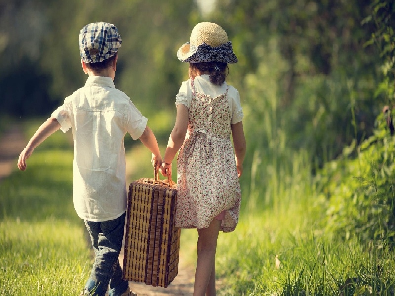 北京试管花胶种类（试管期间可以针灸吗）